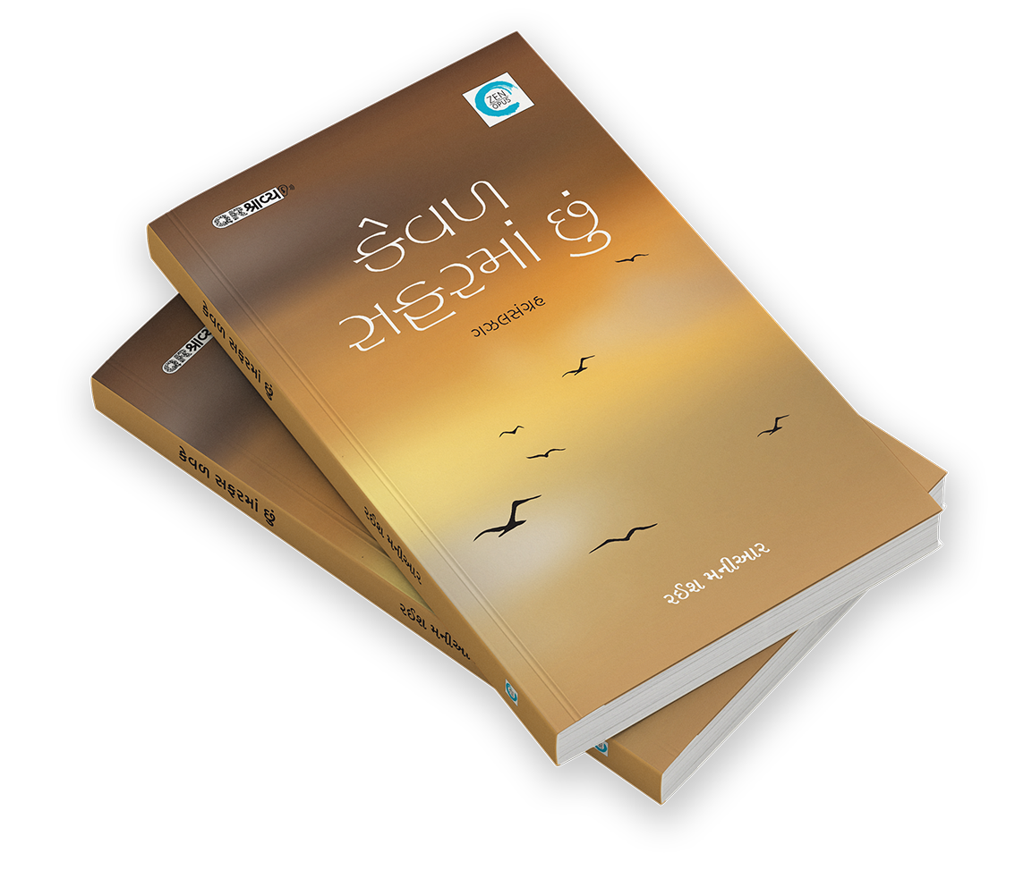 કેવળ સફરમાં છું